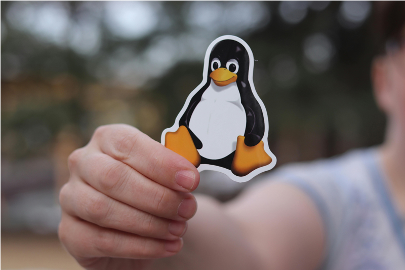 Fundamentos de Linux
